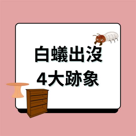 家中白蟻徵兆|消滅白蟻攻略｜白蟻入屋數月可吃光家具 拆解4個入屋 